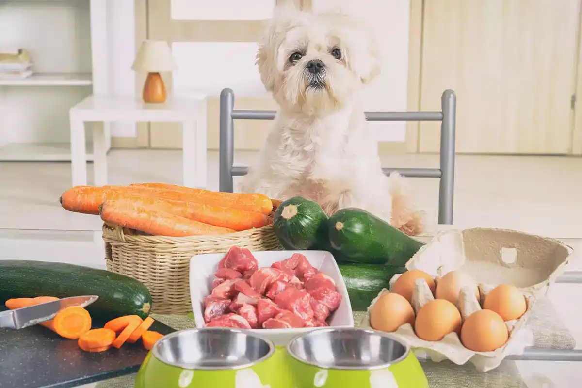 The Balanced Bowl: Nutrition Essentials for Optimal Health