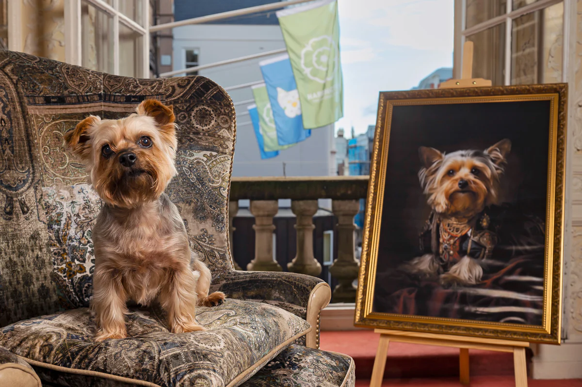 From Bowls to Bliss: A Nutritional Journey for Your Pup's Well-Being